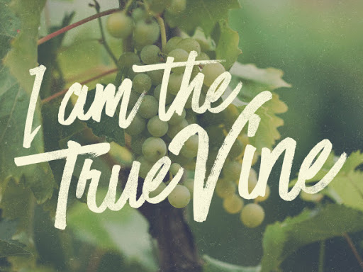 I Am The True Vine