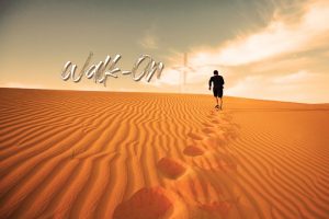 Sunday 21st February – Walk On – ‘The Days of Doubt’