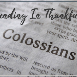 Sunday 21st January – Colossians ‘Abounding in Thankfulness’ – Thankful for the church: the body of Christ